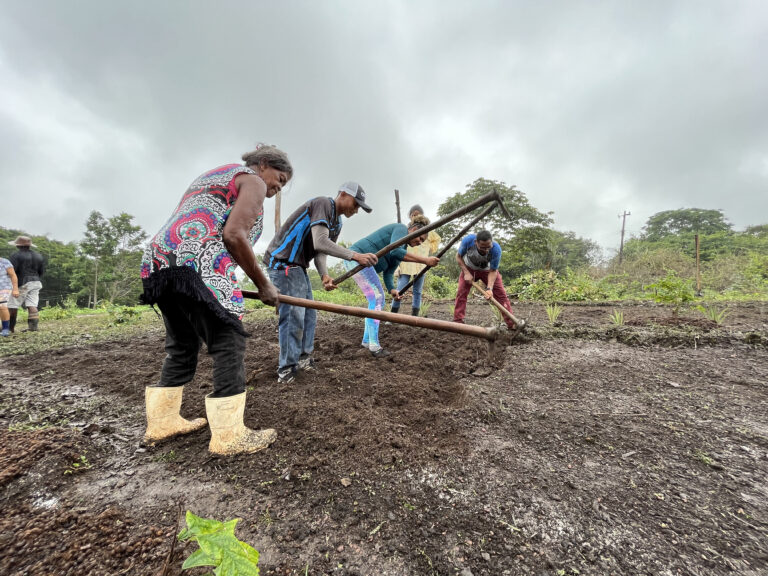 Prática ancestral incentiva o coletivismo em quilombo no Amapá