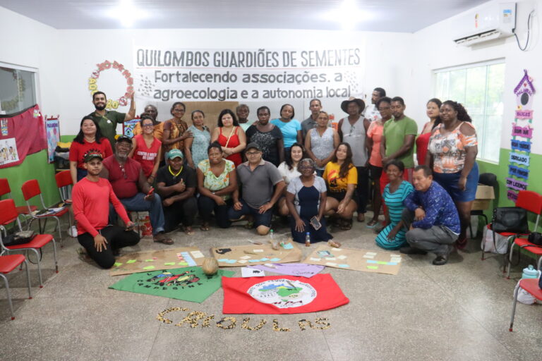 Instituto Mapinguari apoia a regularização institucional de associações quilombolas no Amapá